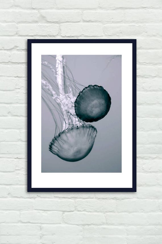 Paisaje Marino Con Las Medusas Medusas En El Océano, Vida Marina Stock De Ilustración