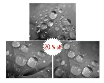 Black and white bathroom wall decor modern grey bathroom wall art set of 3 photos, powder room laundry room art prints, rain drops on rose