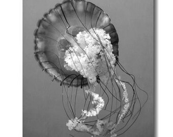 Black and white Jellyfish art photography print or canvas, large grey and white beach bathroom decor, laundry room powder room wal art