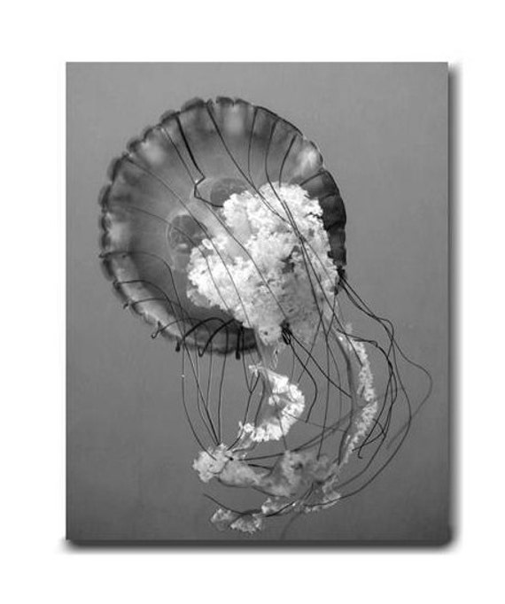 Bathroom Wall Decor Black and White Wall Art Nautical Wall Picture Shabby Chic Beach Wall Art Jellyfish Art Print Ocean Underwater Photography
