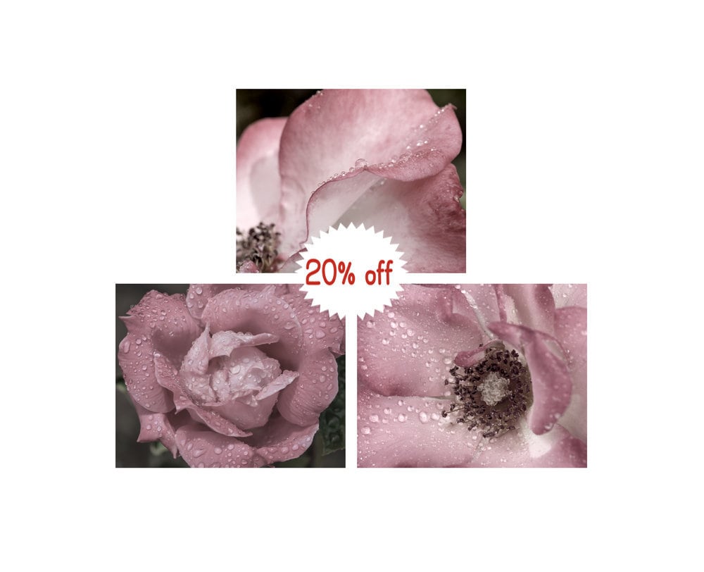 Conjunto de arte de pared del baño de 3 grabados / lienzo | Etsy