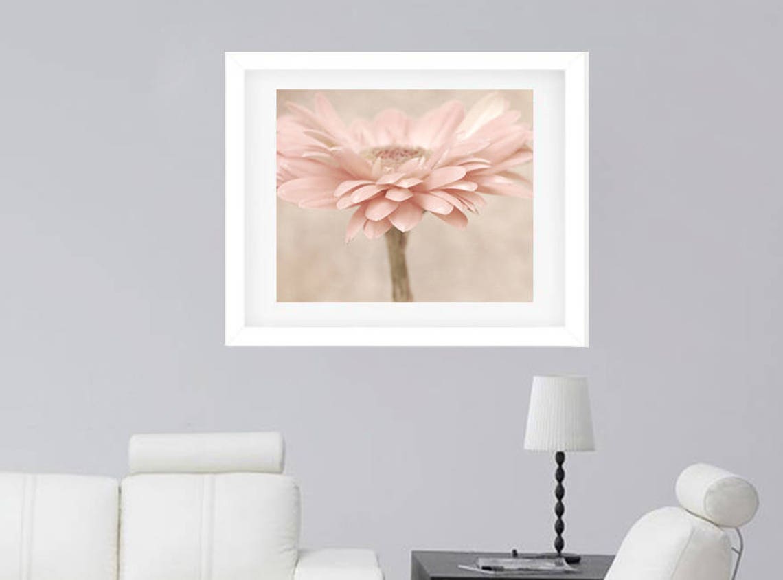 Daisy Wall Art Pastel Pink Gerbera Flower Photography Print Etsy