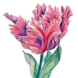 Feathers Ceramic Tile - 4.25 x 4.25 inches