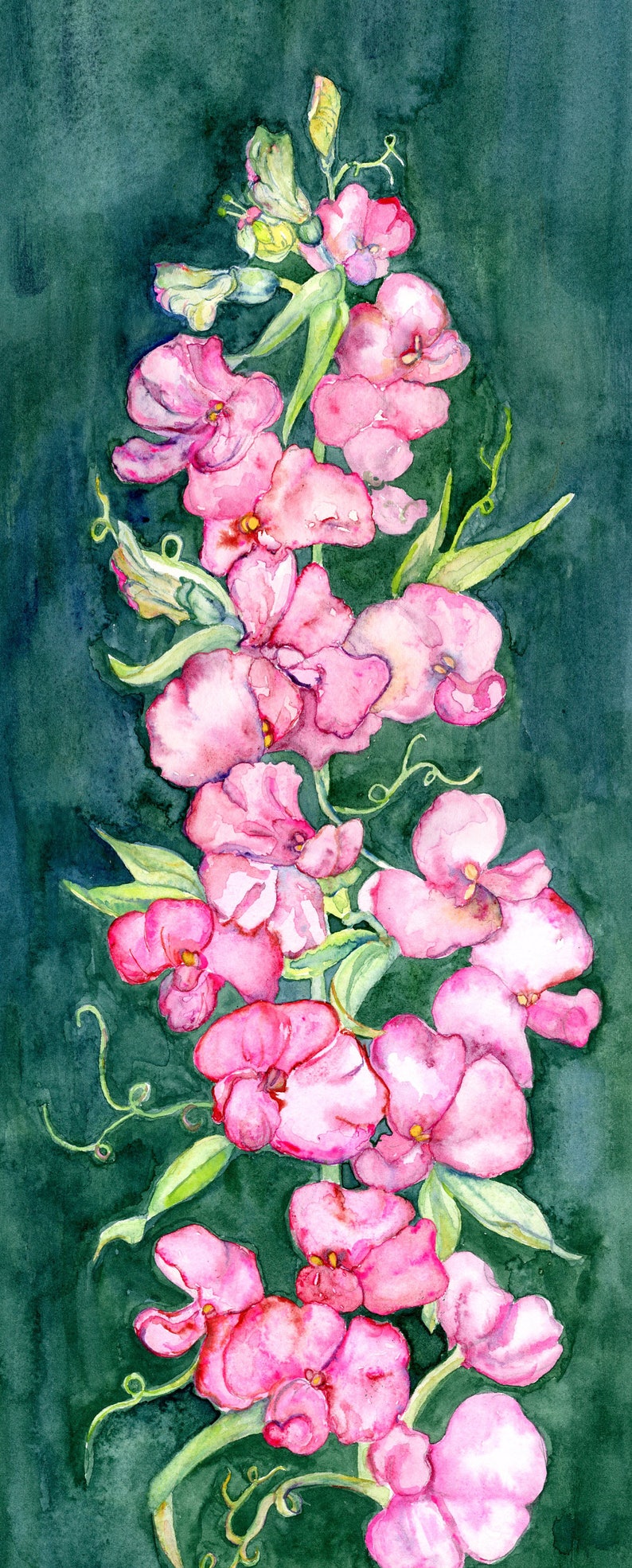 Sweet Pea Necktie