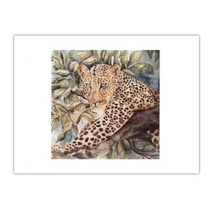 Os cartões de nota Leopard
