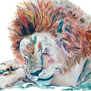 May include: A watercolor painting of a lion with a large mane, sleeping with its head resting on its paws. The lion's fur is painted in shades of brown, orange, and red, with hints of blue and purple.