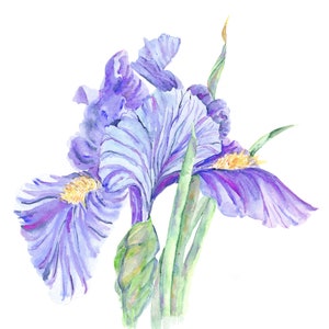 Piastrelle in ceramica Flash Dance - 4,25 x 4,25 pollici