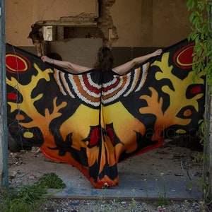 Hand Painted Silk Mothra Wings: Custom Belly Dance Isis Wings