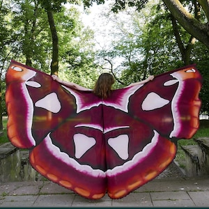 Moth wings. Hand painted silk wings made to order
