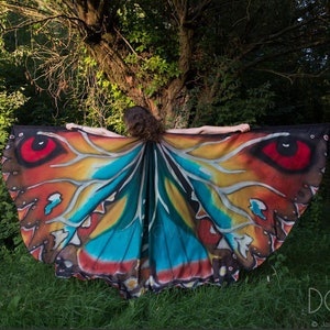 May include: A person wearing a large butterfly-shaped cape with red, orange, yellow, blue, and black colors. The cape is made of fabric and has a realistic butterfly design.