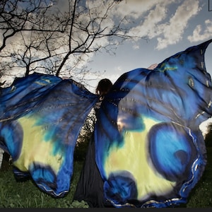 Unique hand painted silk wings made to order. Real moth and butterfly. Halloween costume. Dance wear, stage, performace accessories.