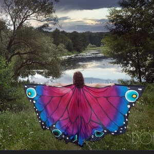 Hand painted silk butterfly wings