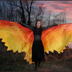 Phoenix wings. Hand painted silk bird wings, feathers in colors of red, orange and yellow.