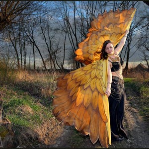 Gold bird wings. Unique hand painted silk feathers belly dance wings made to order.