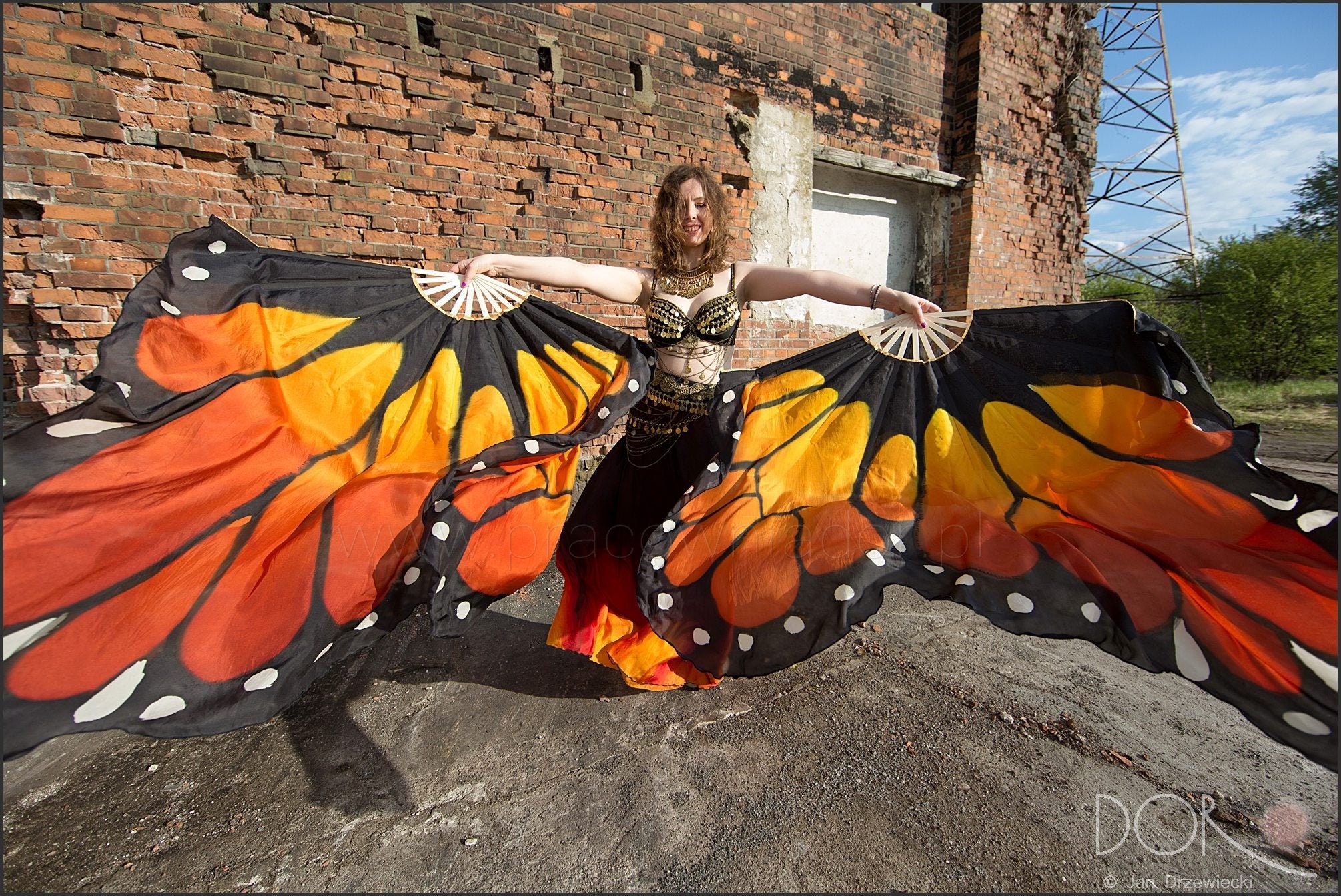 Butterfly fans favors deals
