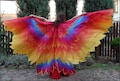 Phoenix bird wings. Hand painted silk dance wings. Costume for stage, perfomer, carnival, burlesque.