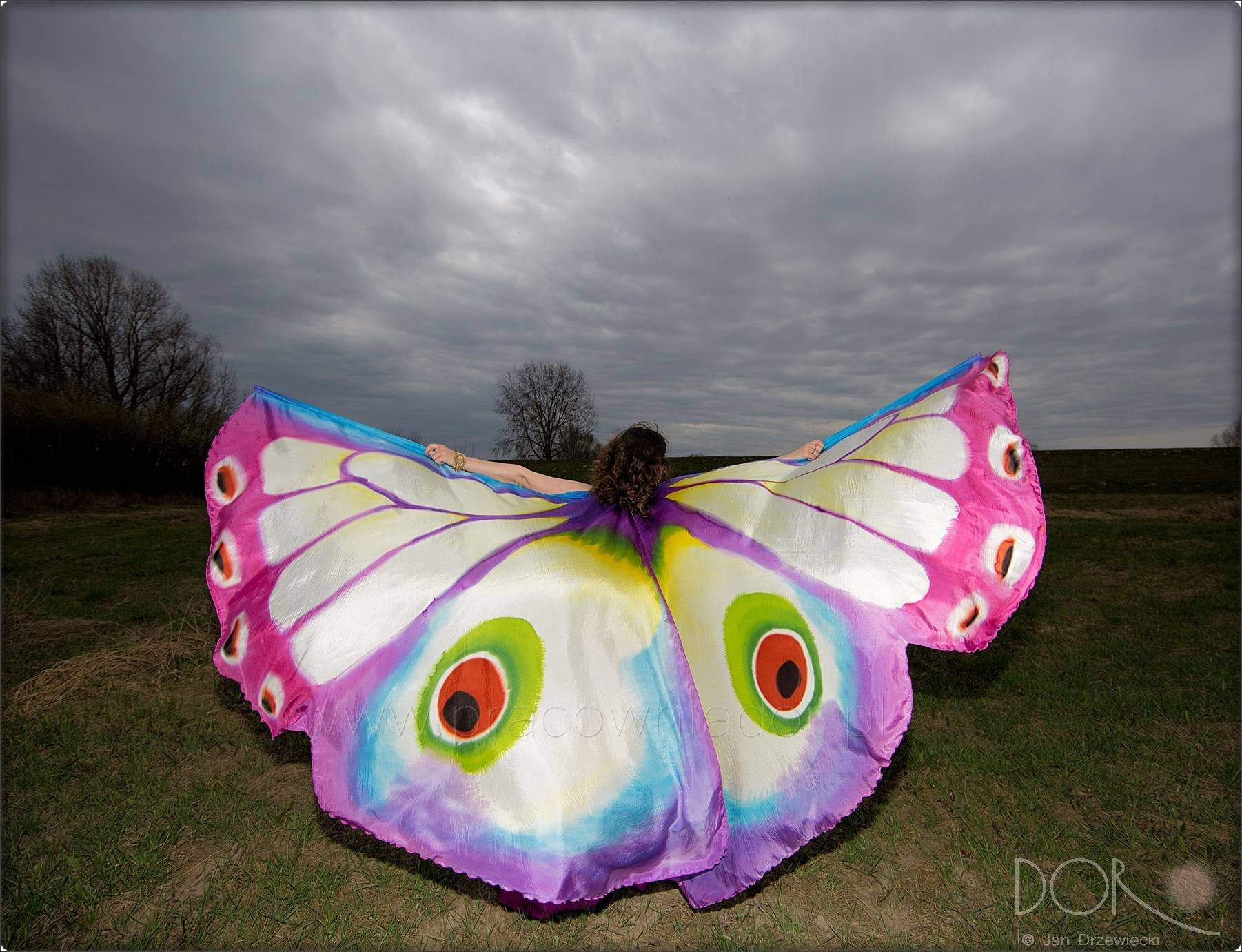 Mariposa monarca original alas de Isis de seda pintadas a mano