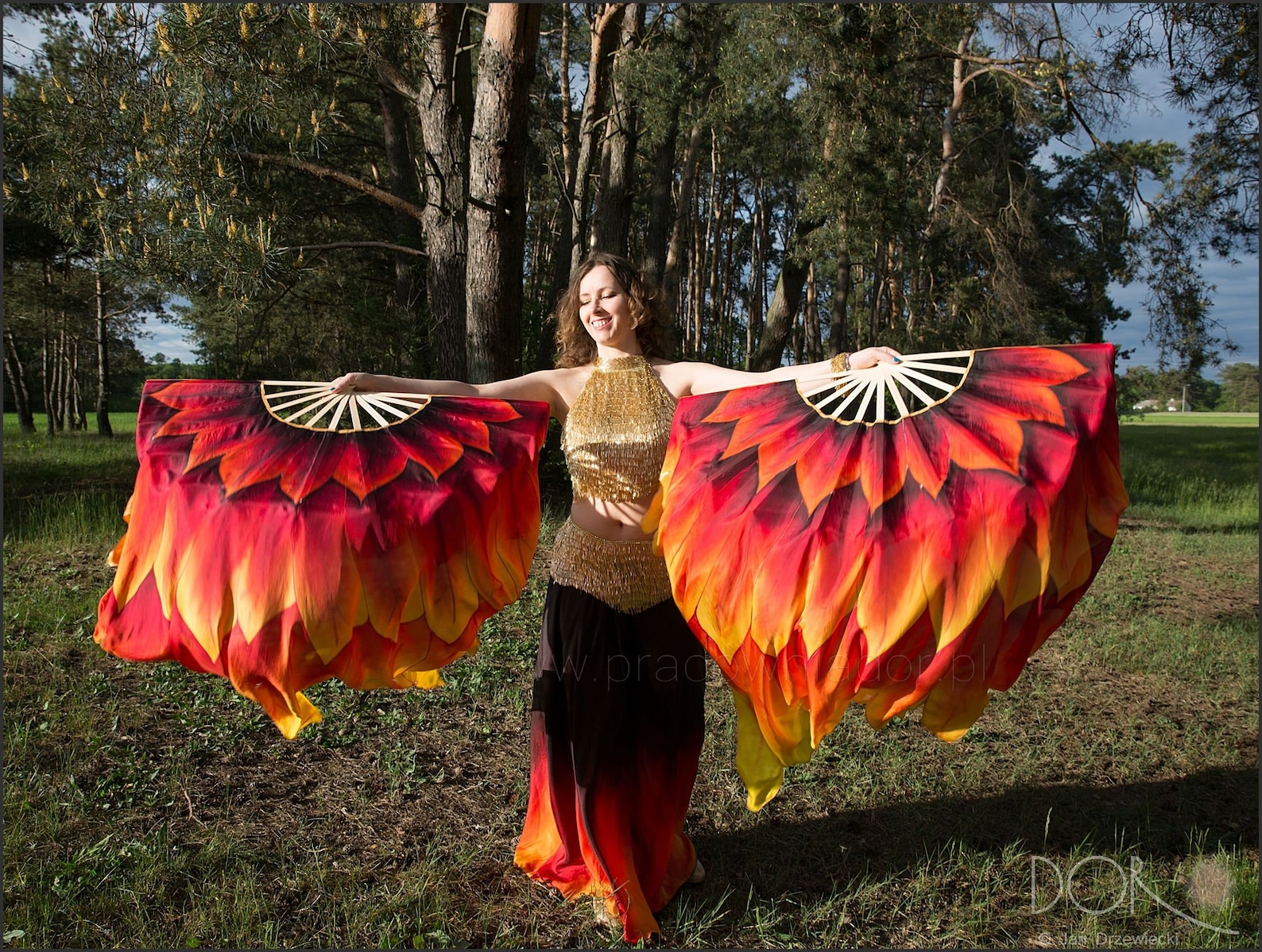 Phoenix Bird Fan Veils in Xl Size. - Etsy