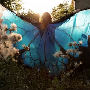 Hand painted silk dance wings made to order