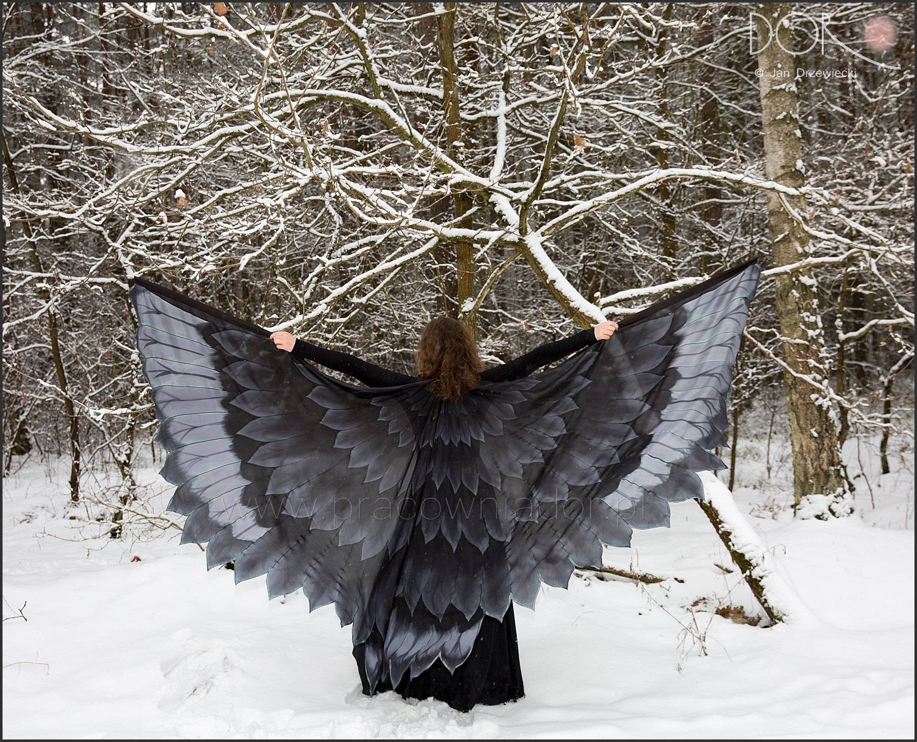Bird wings inspired by the wings of real birds. Unique hand Etsy