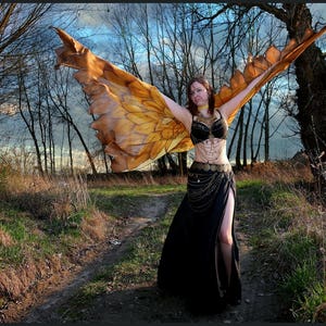 Gold bird wings. Unique hand painted silk feathers belly dance wings made to order. image 2