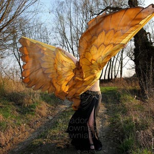 Gold bird wings. Unique hand painted silk feathers belly dance wings made to order. image 3