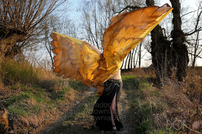 Gold bird wings. Unique hand painted silk feathers belly dance wings made to order. image 3