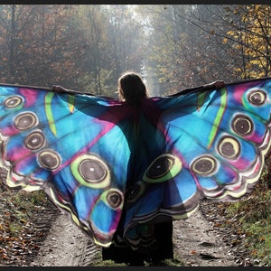 Unique, hand painted silk wings made to order. The wings like a butterfly.