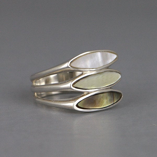 Silver Transitions Ring