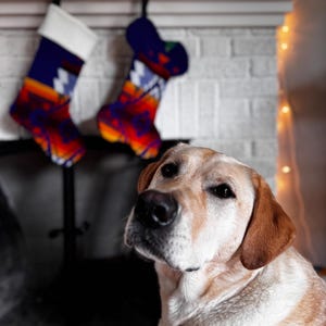 Neutral Christmas Stocking made from Pendleton Wool