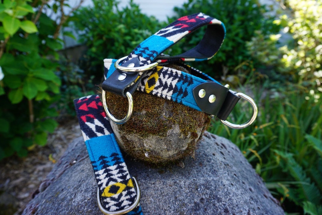 SHASTA Slip Collar Martingale Collar Leather Slip Collar Etsy