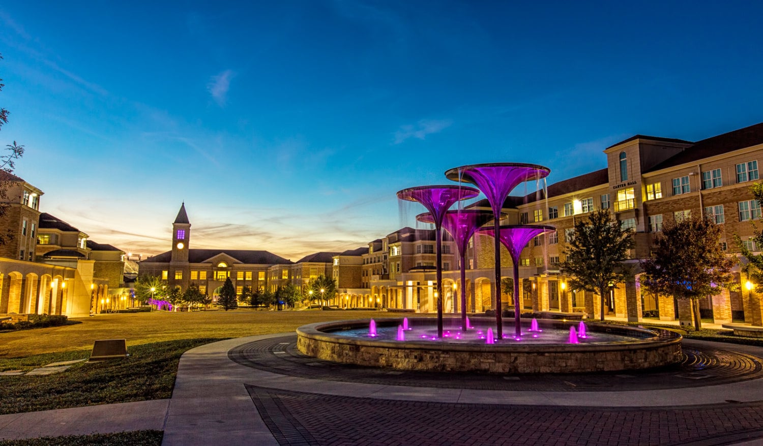 TCU Frog Fountain | Etsy