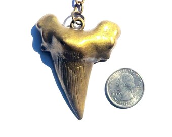 HUGE Brass Shark Tooth Paperweight  / Clip On / Antiqued Brass Shark Tooth Novelty