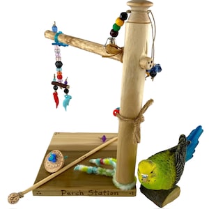 BIRD TOY: Perch ‘n Go Play STAND (#6 of 19)