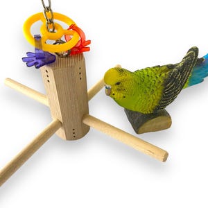 BIRD TOY: Hanging Quad Perch