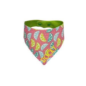 Personalized Summer Dog Bandana, Multicolor Girl Dog Neck Scarf