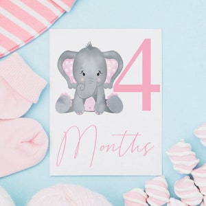 Mijlpaal babykaarten/Nieuwe babykaarten/Nieuwe baby aandenken/Aandenken babymeisje/Mijlpaal babyjongen/fotocadeau baby/cadeau nieuwe baby/babyfoto prop