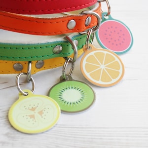 Custom Pet ID Tag Circle - Dog Name Identification - Fruit Fruity Banana watermelon orange kiwi - P121-P124