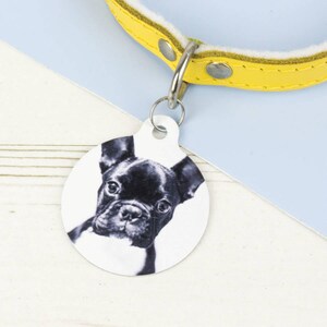 Photograph Pet ID Tag - Dog Name Identification - P39