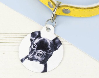 Photograph Pet ID Tag - Dog Name Identification - P39