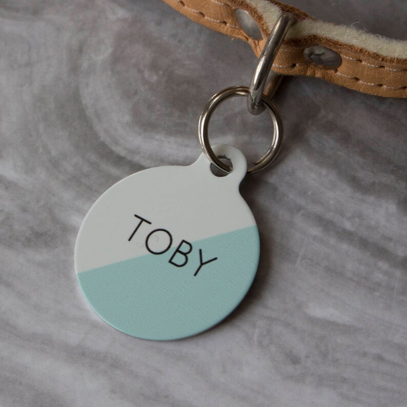 Personalised Two Toned Pet ID Tag Dog Name Identification Etsy