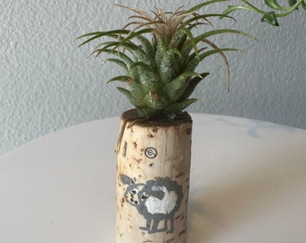 Air plant cork magnet with sheep