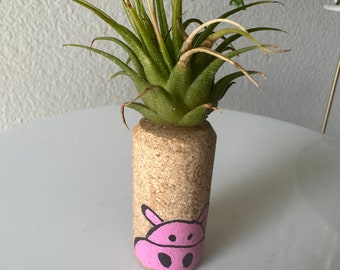 Air plant piggy cork magnet