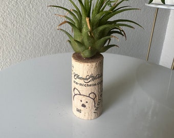 Air plant cork magnet