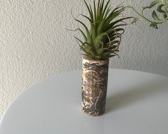 Air plant Juggernaut cork magnet