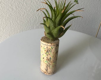 Yellow flowers air plant cork magnet