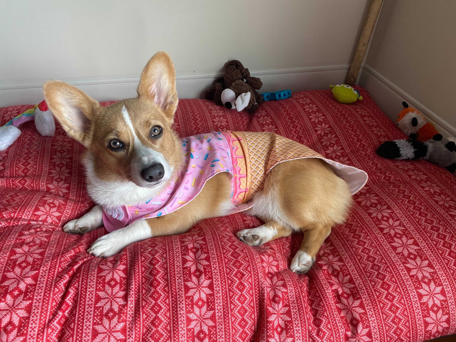 Dog Ice Cream Costume Personalized Pet Clothing Strawberry Etsy