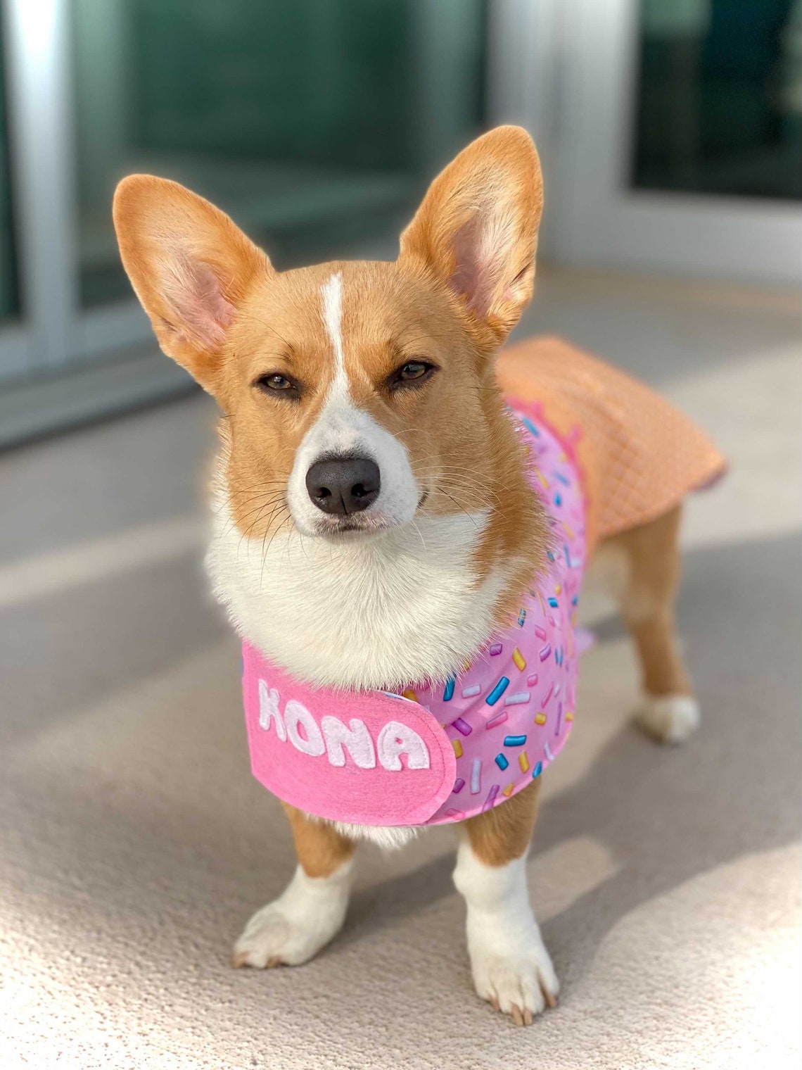 Dog Ice Cream Costume Personalized Pet Clothing Strawberry Etsy