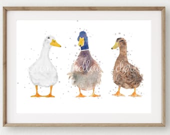 Watercolour duck print, trio of duck prints, duck wall art, duck painting, duck gifts, illustration, country home decor, country kitchen art