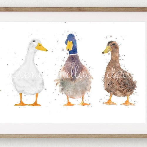 Watercolour Duck Print Trio of Duck Prints Duck Wall Art Etsy UK